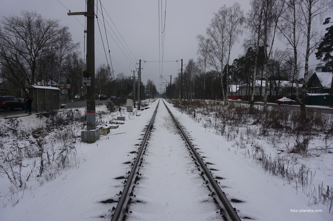 Ж\Д на Сестрорецк