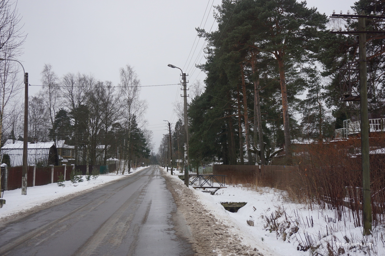 Лахта.Ольгино