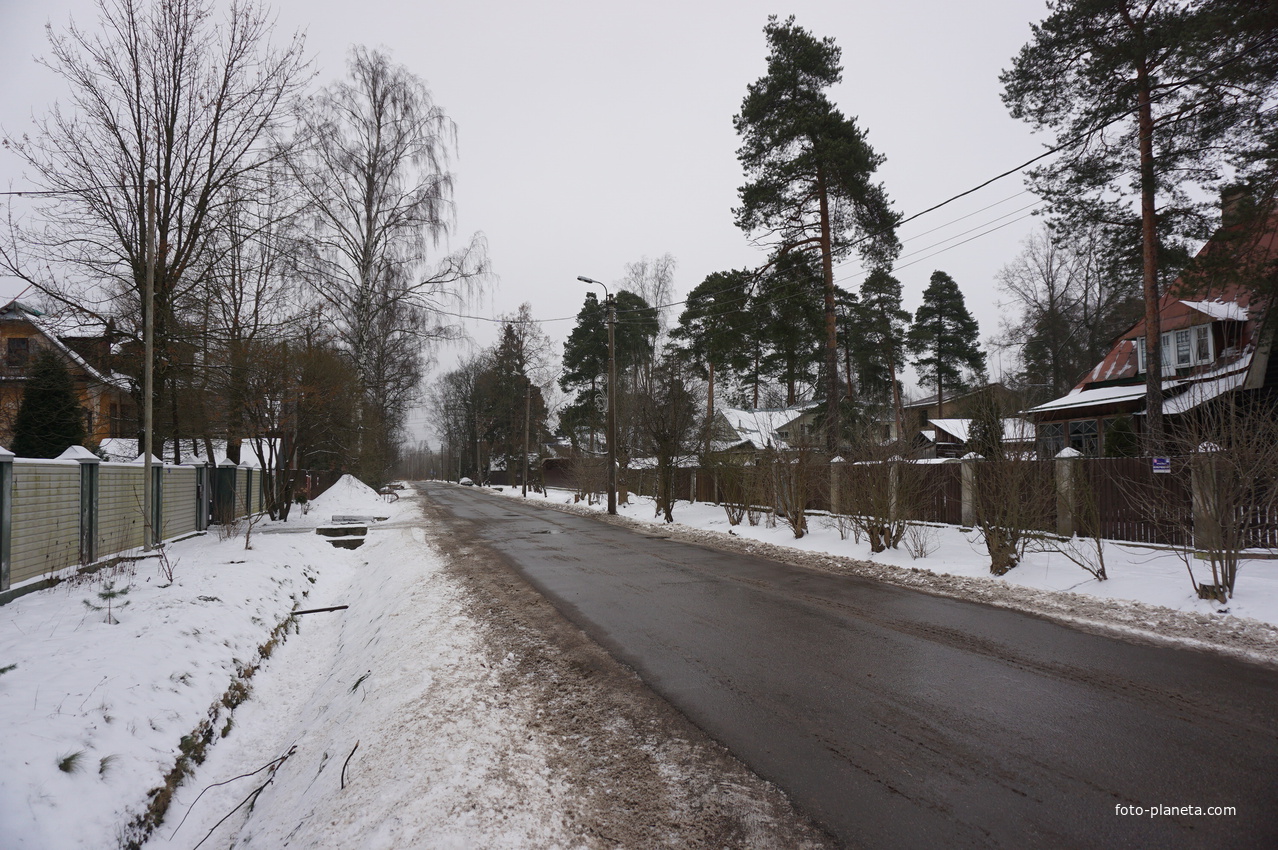 Лахта.Ольгино