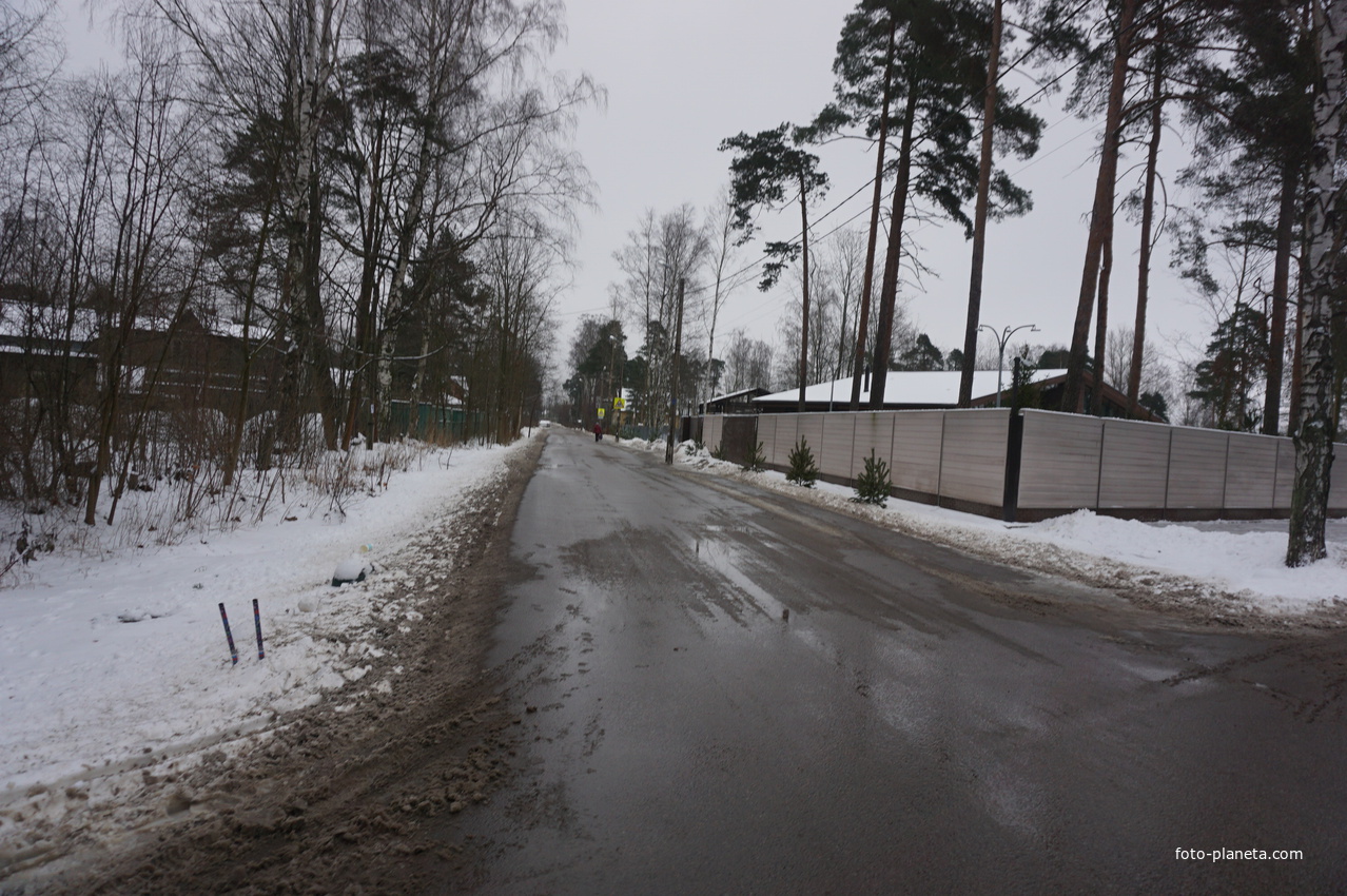 Лахта.Ольгино