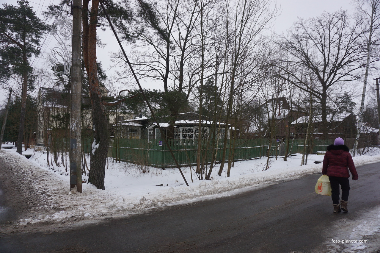 Лахта.Ольгино