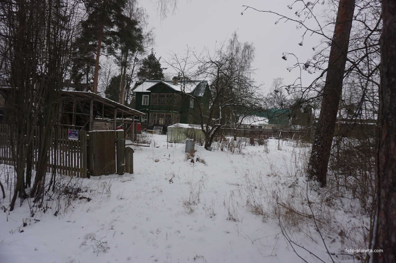 Лахта.Ольгино