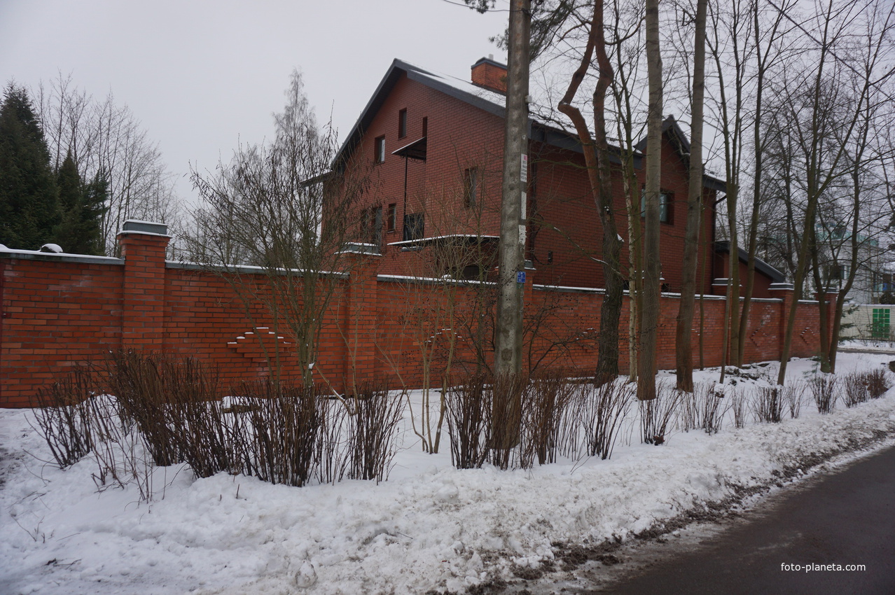 Лахта.Ольгино