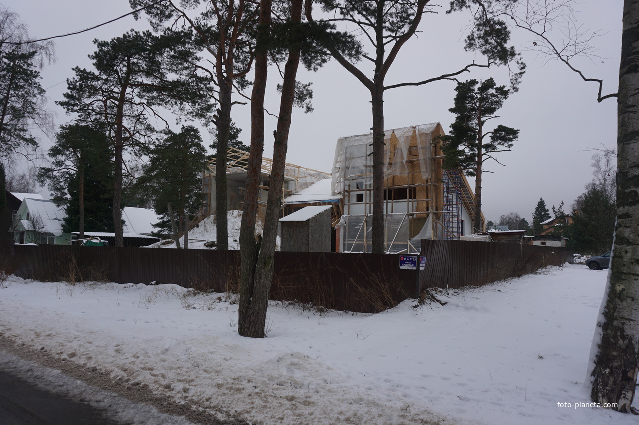 Лахта.Ольгино