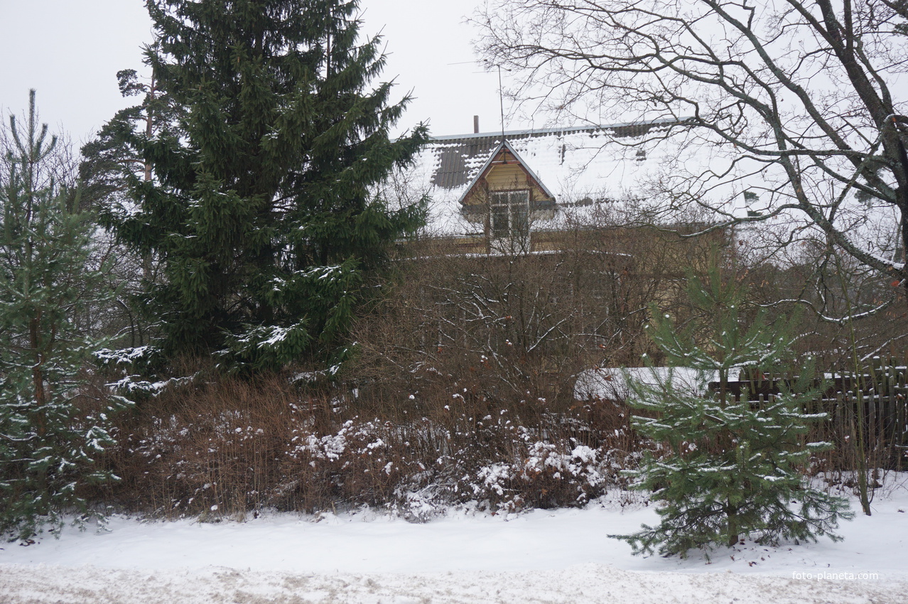 Лахта.Ольгино