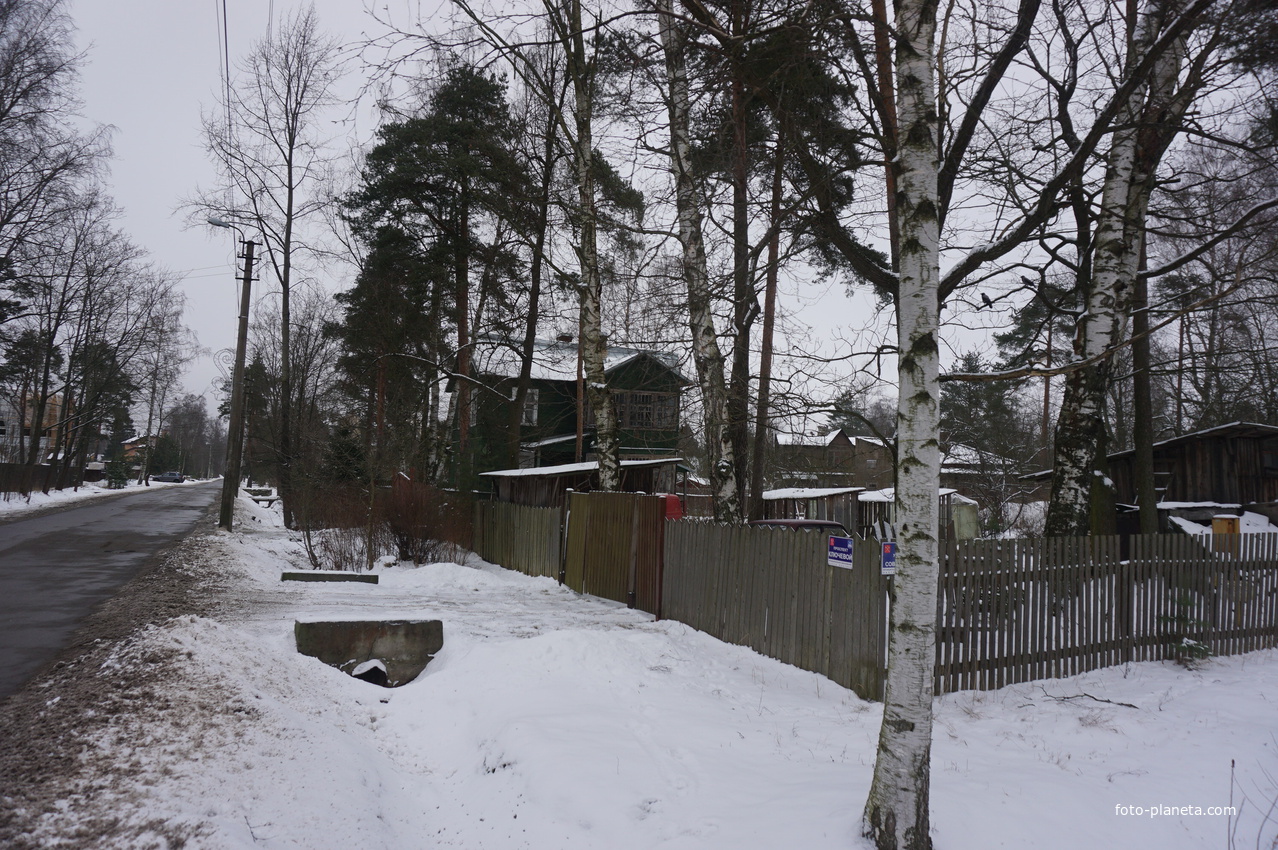 Лахта.Ольгино