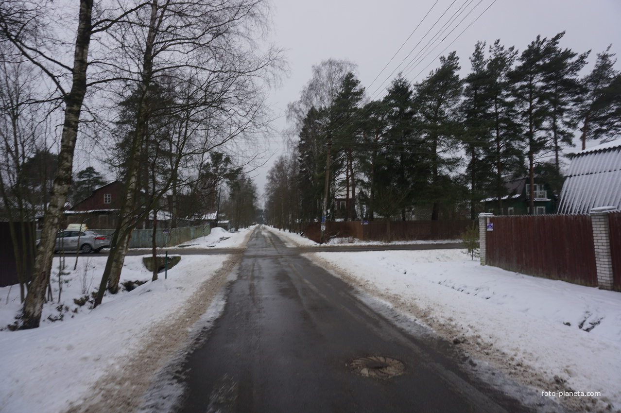 Лахта.Ольгино