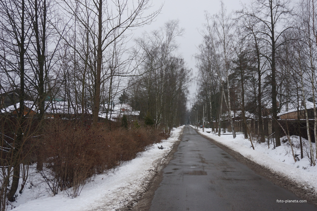 Лахта.Ольгино