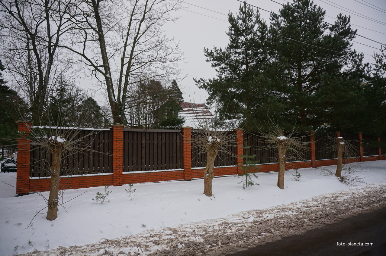 Лахта.Ольгино