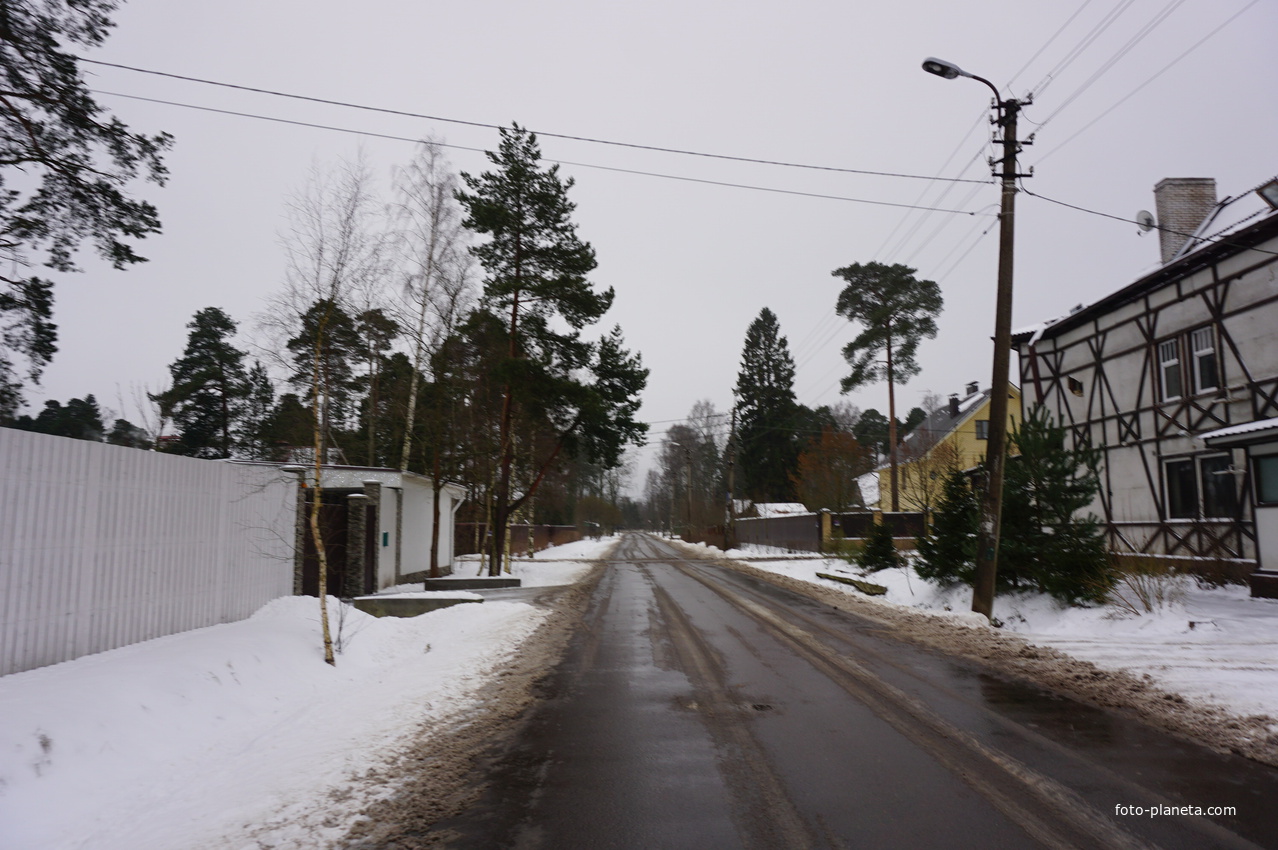 Лахта.Ольгино