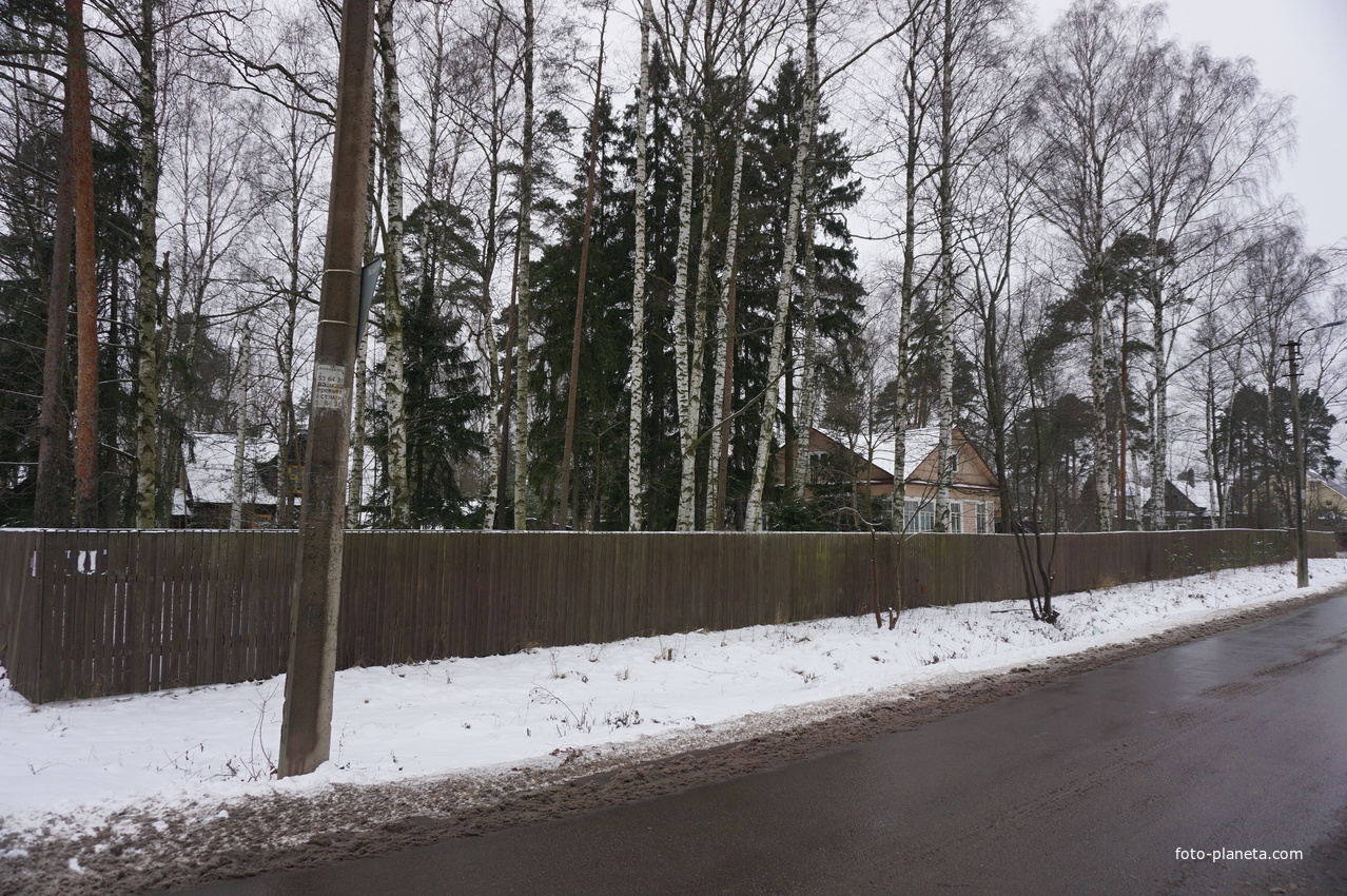 Лахта.Ольгино