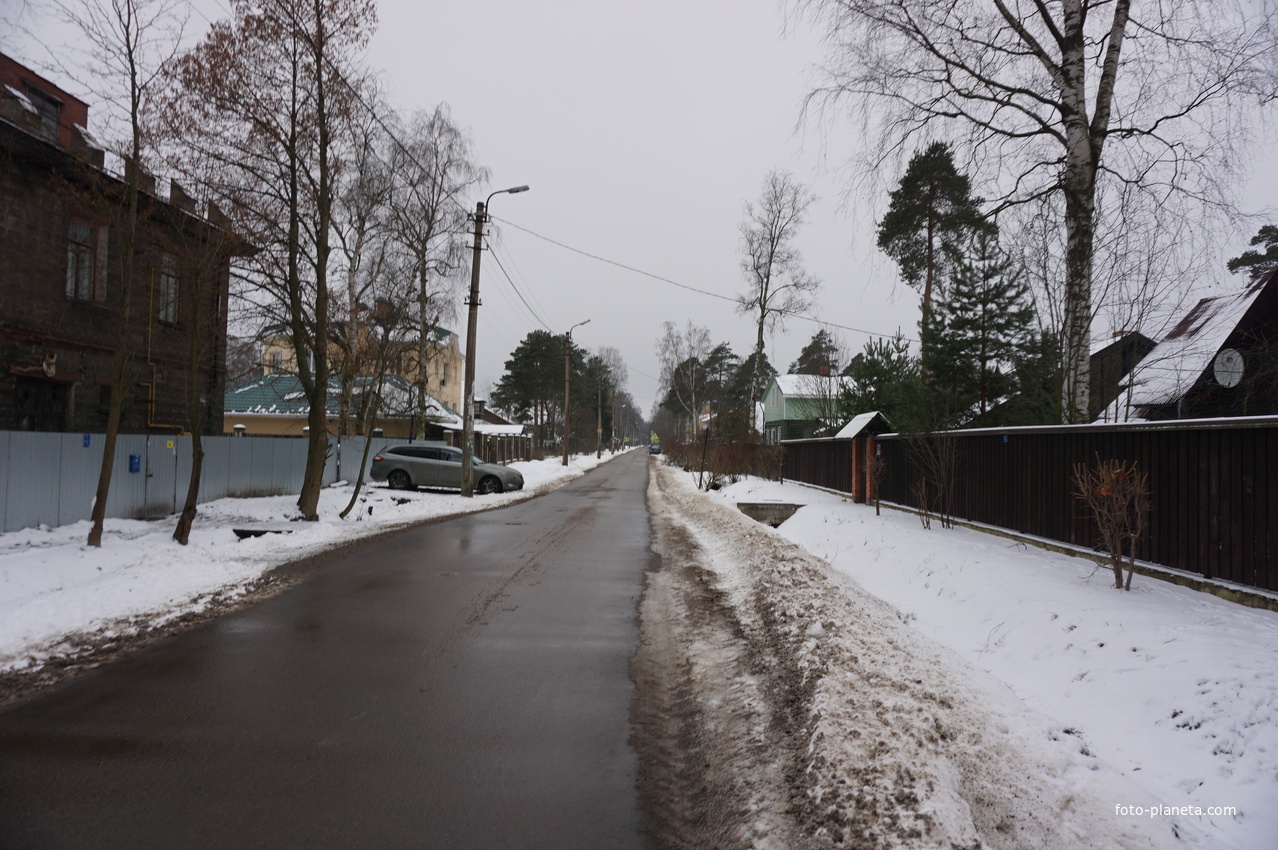 Лахта.Ольгино