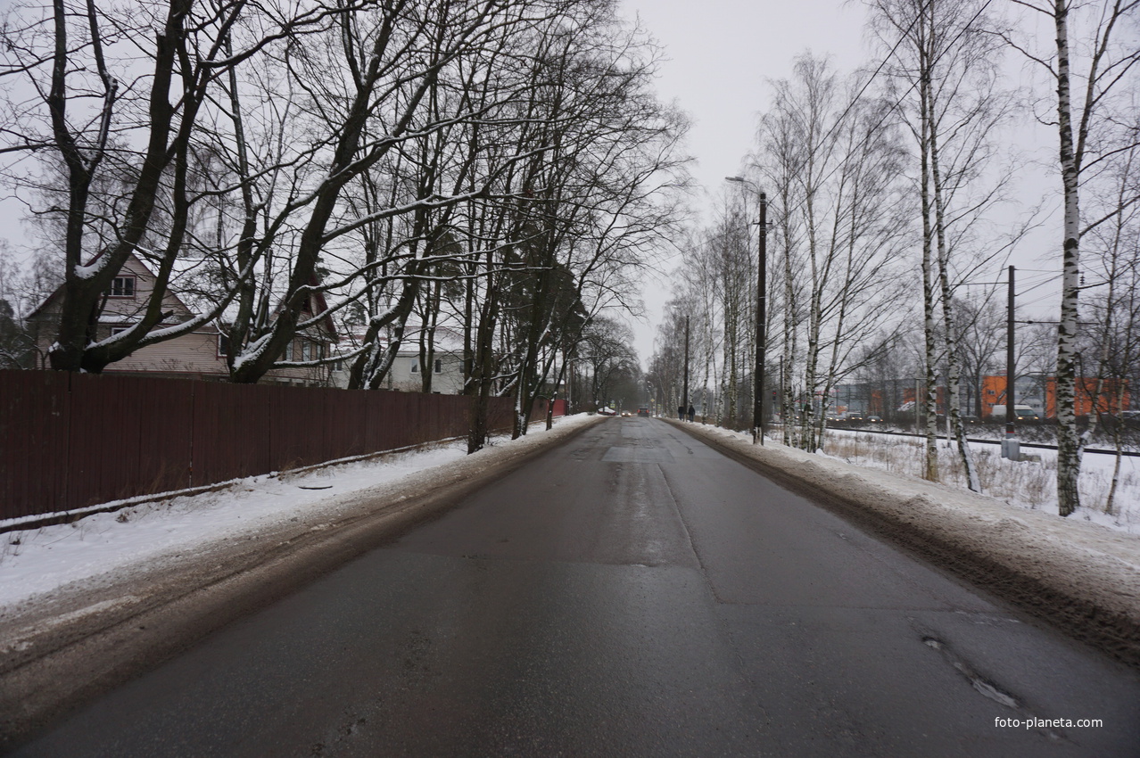 Лахта.Ольгино