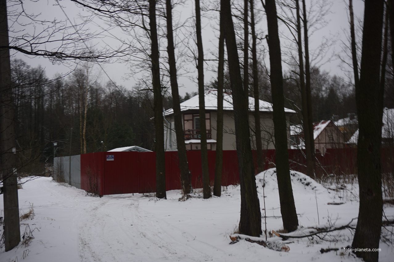 Лахта.Ольгино