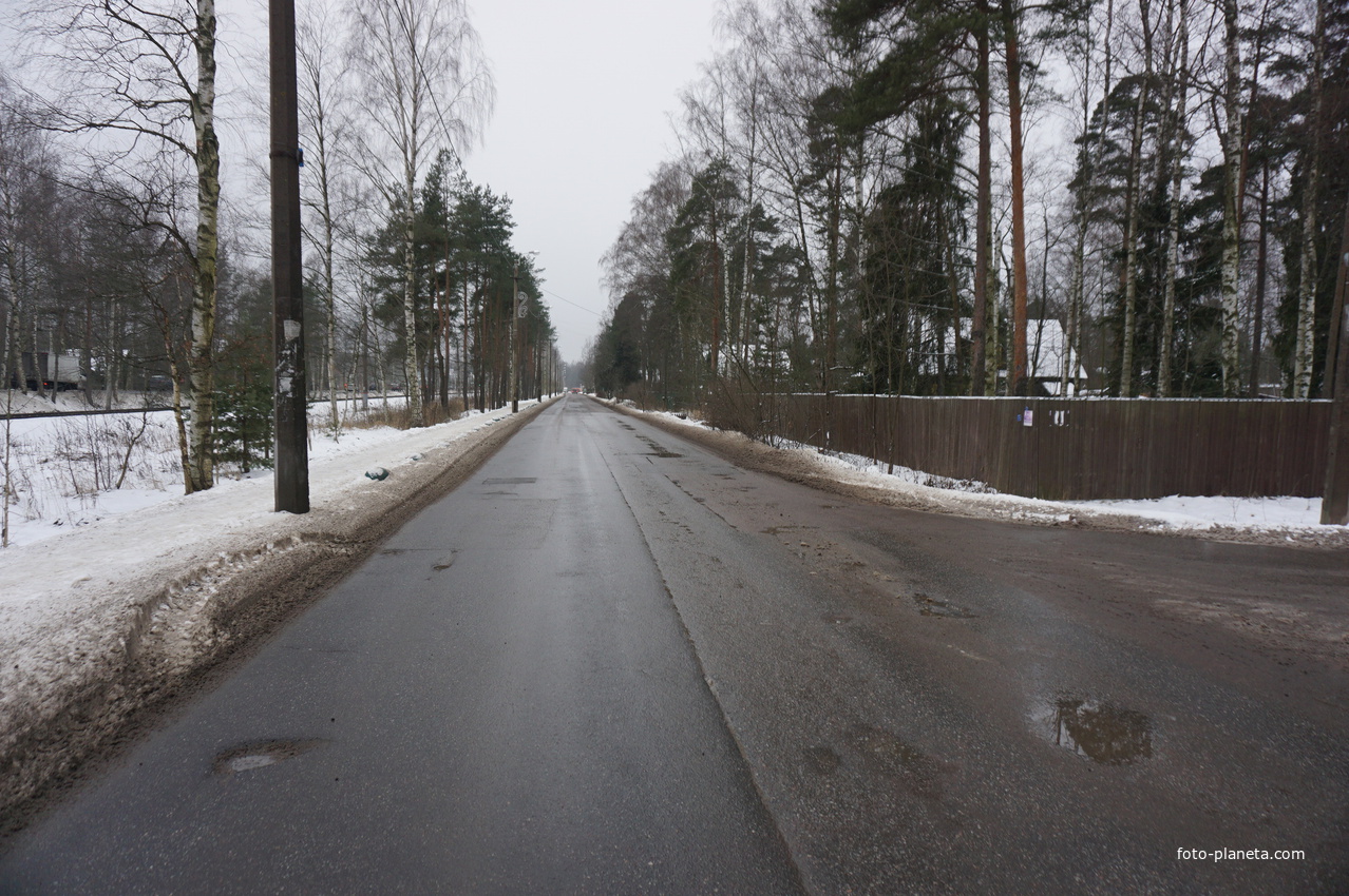 Лахта.Ольгино