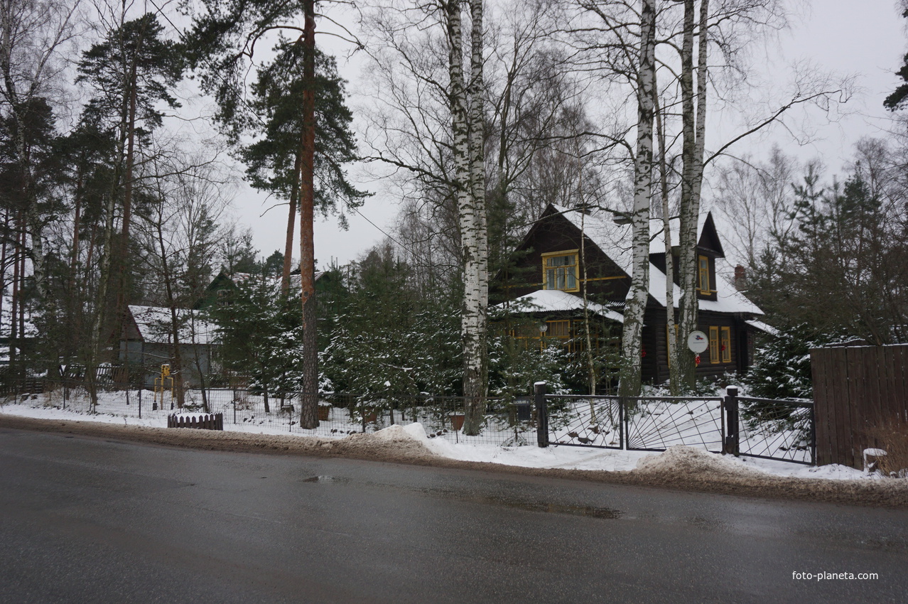 Лахта.Ольгино