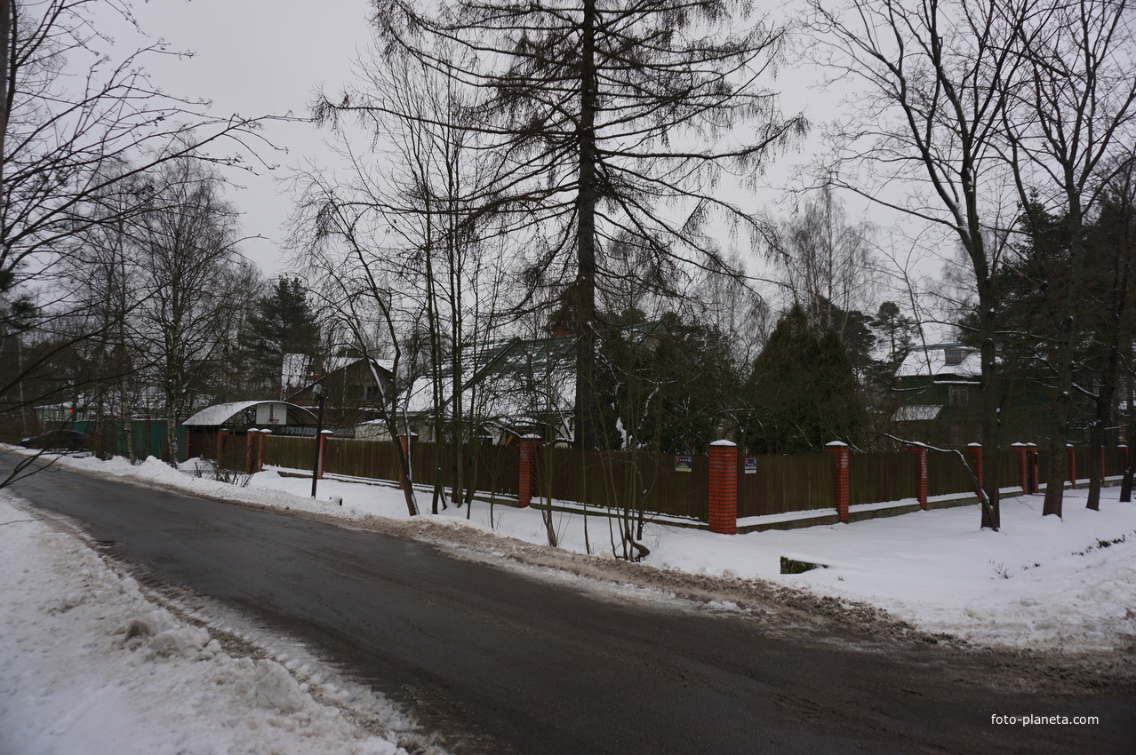 Лахта.Ольгино