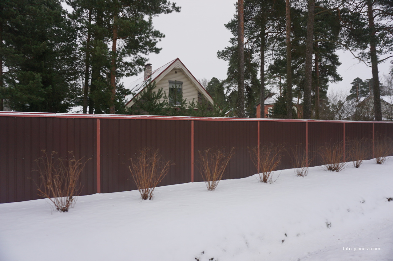 Лахта.Ольгино