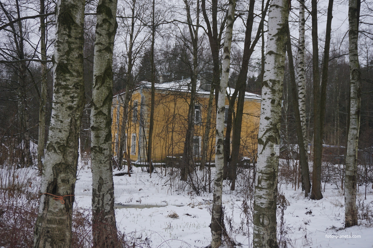 Лахта.Ольгино