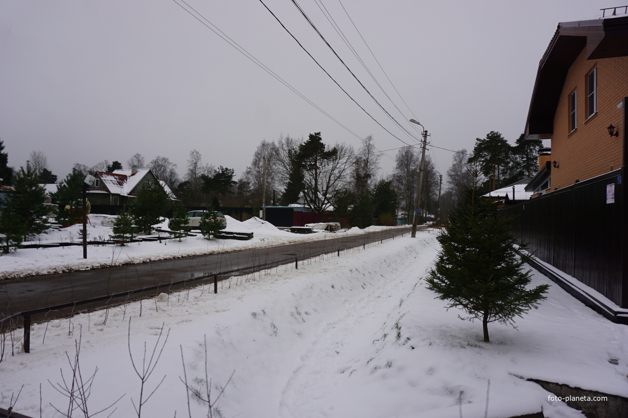 Лахта.Ольгино