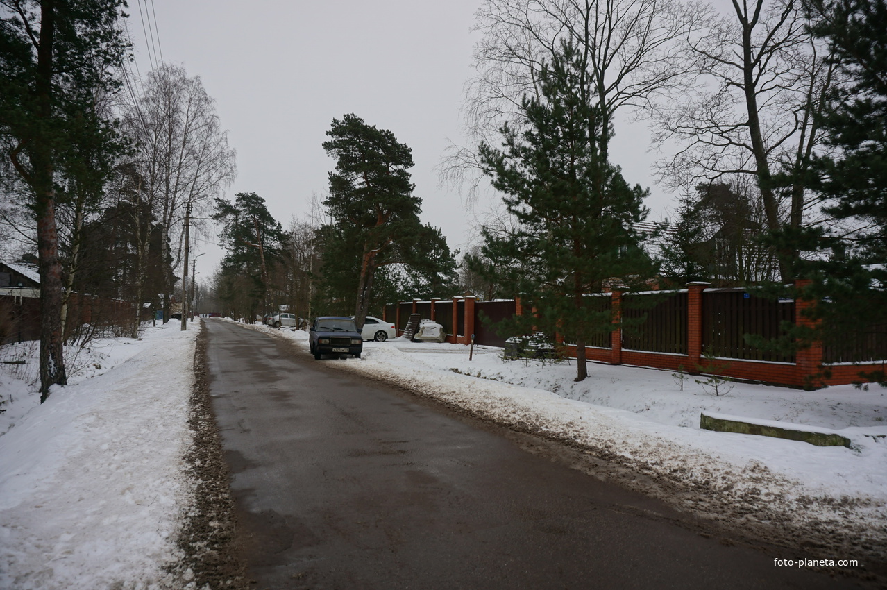 Лахта.Ольгино