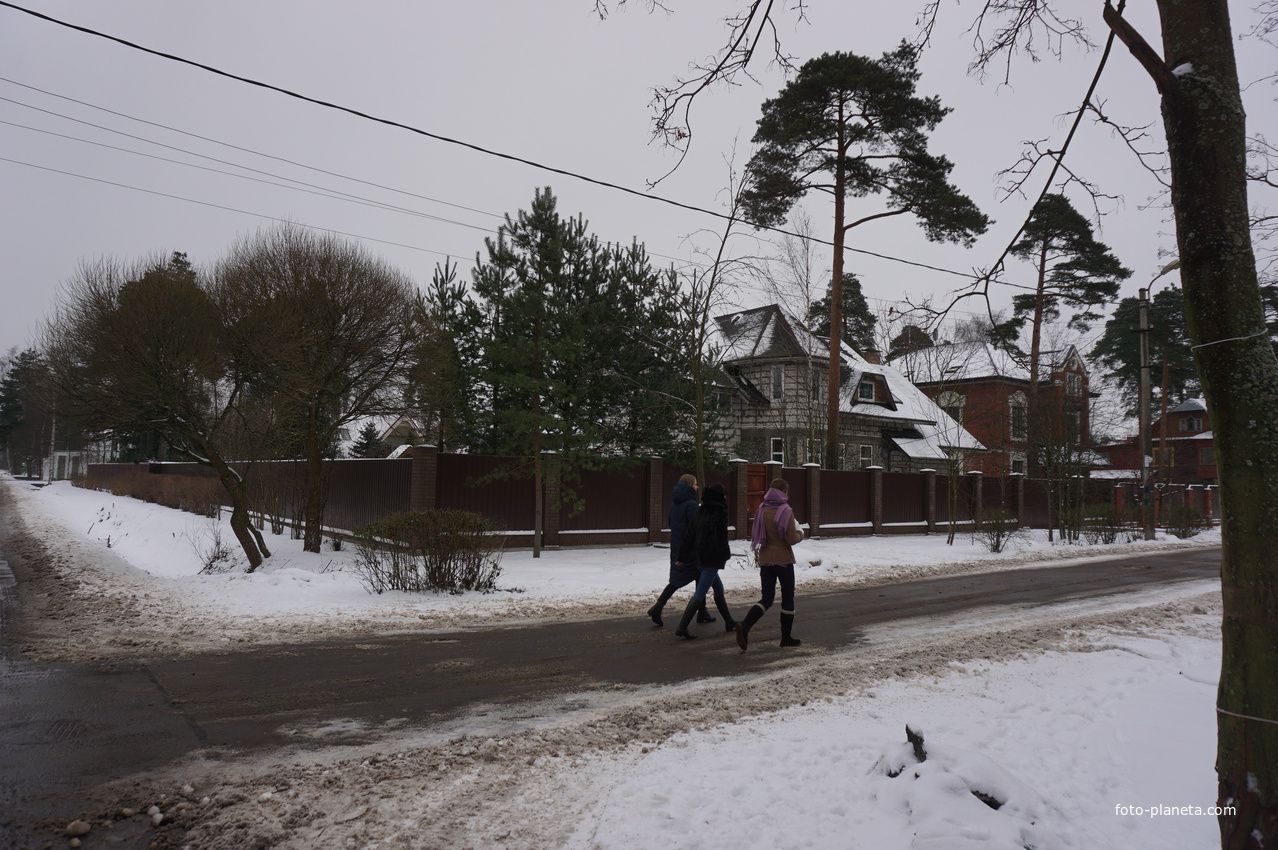 Лахта.Ольгино