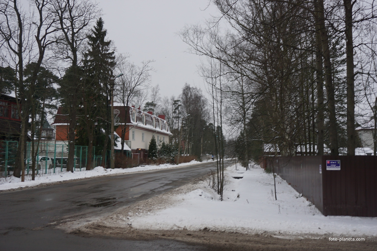 Лахта.Ольгино