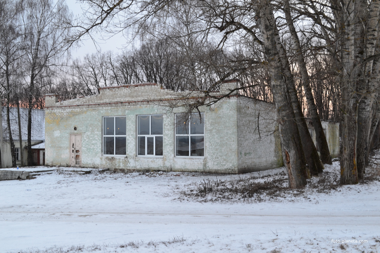 Здание в село Салтыки.