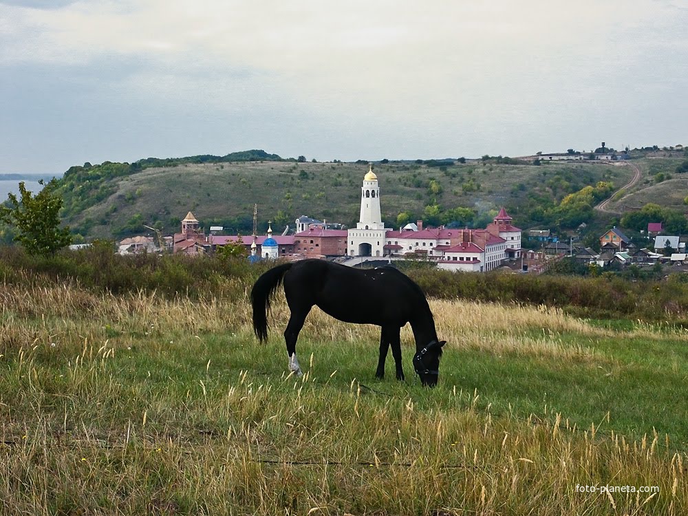 Свято-Богородичный Казанский мужской монастырь