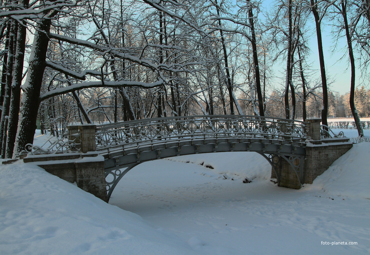 Дворцовый парк