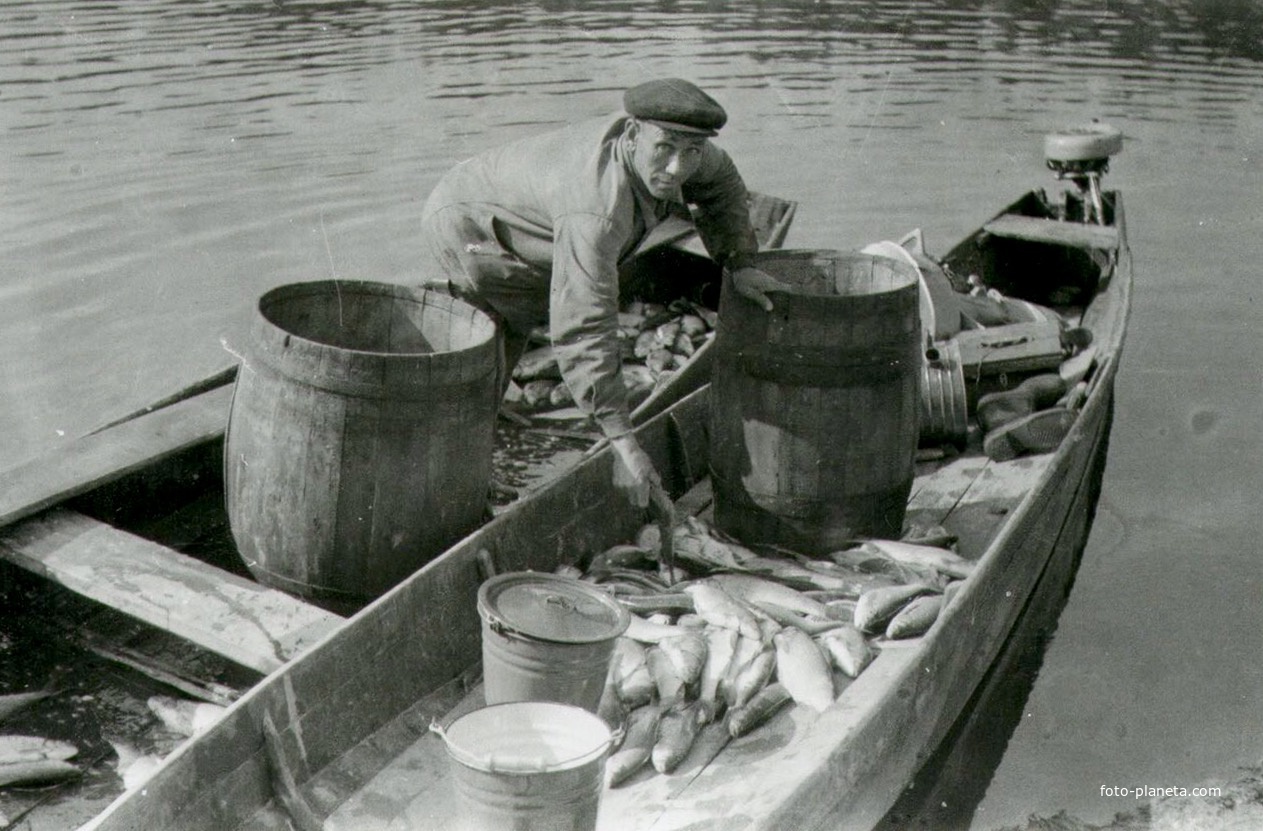 Засолка рыбы на месте лова. 1963 г