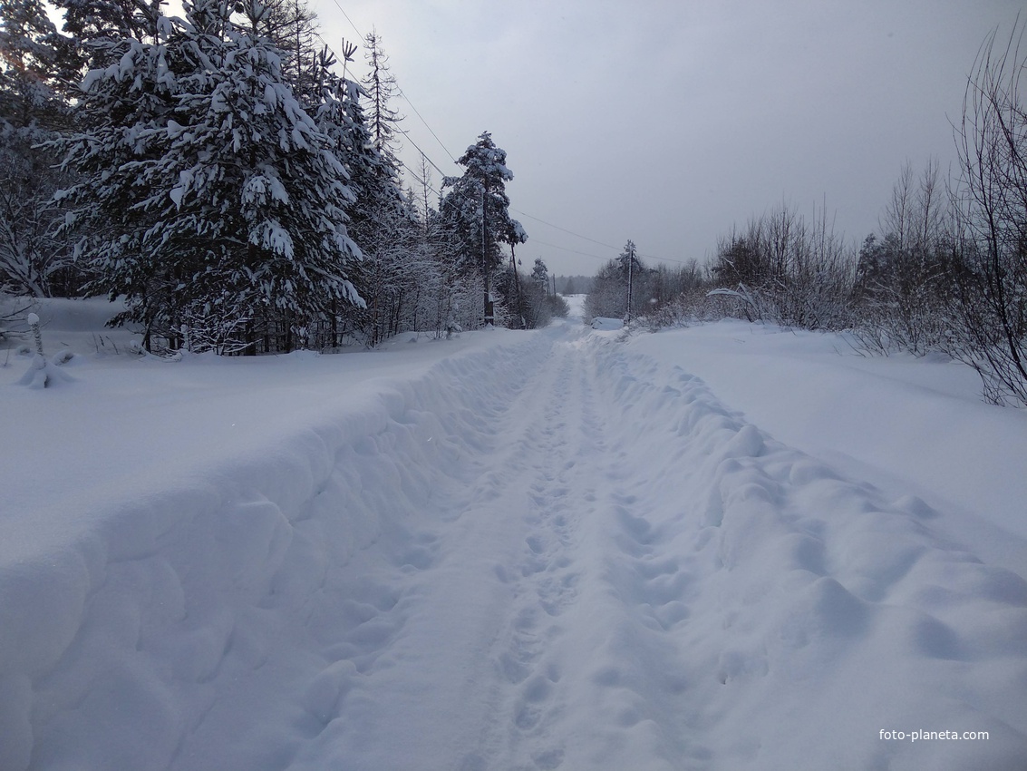 Впереди Усадьба