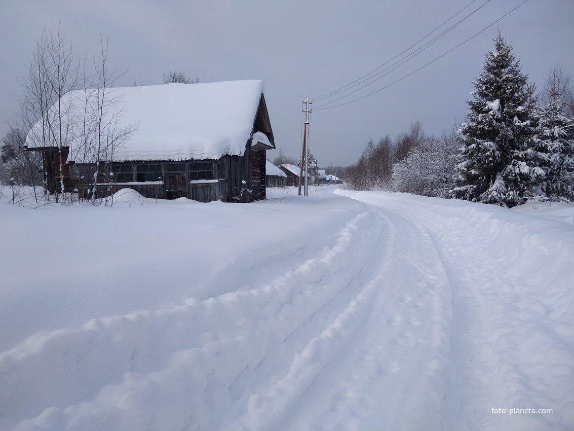 Дом Думиных