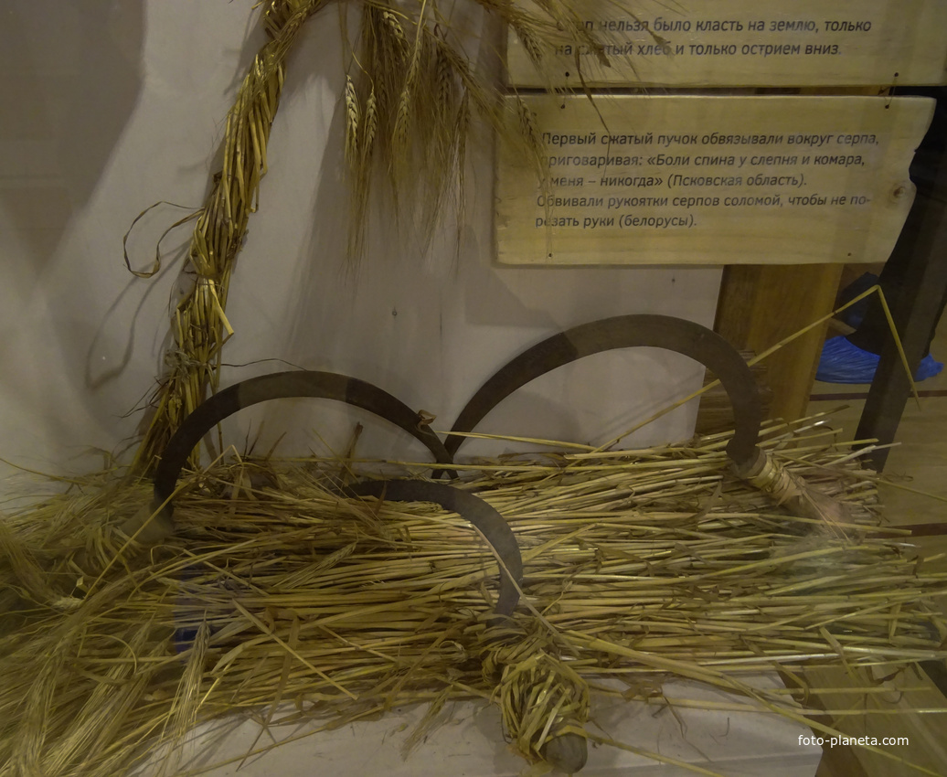 Музей Хлеба