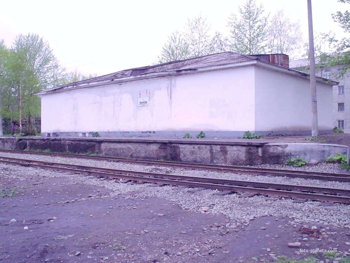 Станция Быков