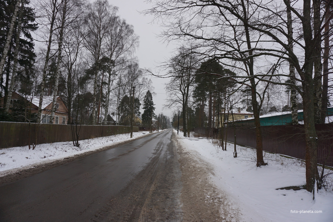 Посёлок Лахта.