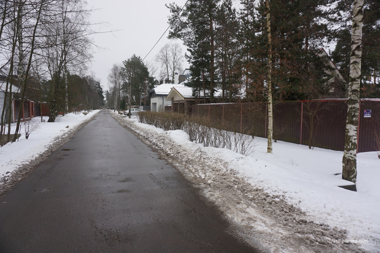 Посёлок Лахта.