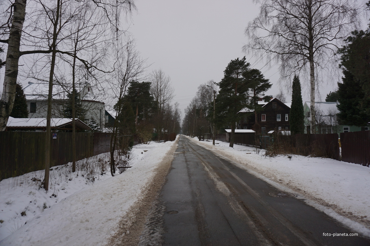 Посёлок Лахта.