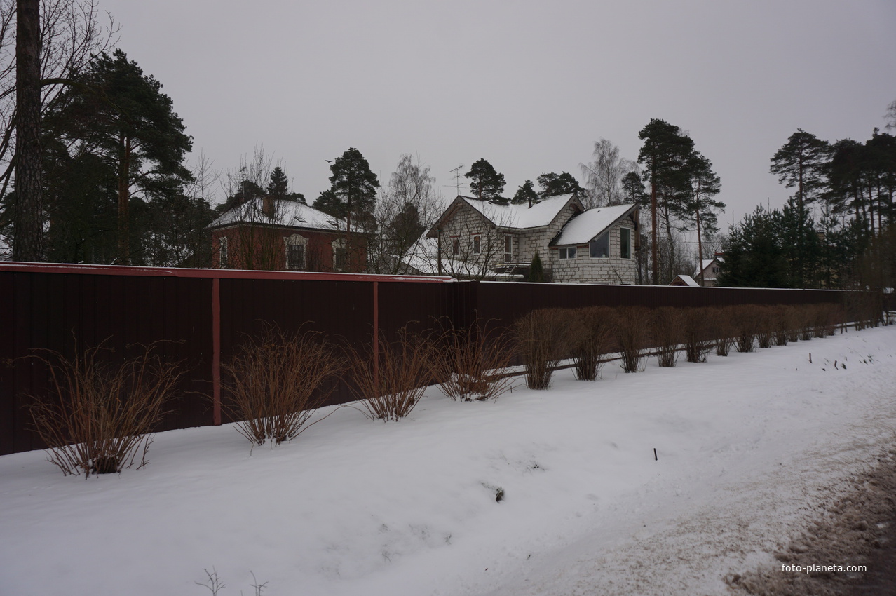 Посёлок Лахта.