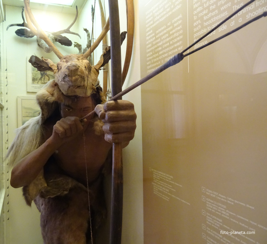 Музей антропологии и этнографии имени Петра Великого "Кунсткамера"