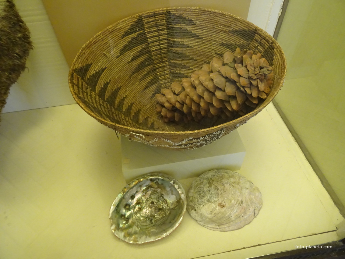 Музей антропологии и этнографии имени Петра Великого "Кунсткамера"