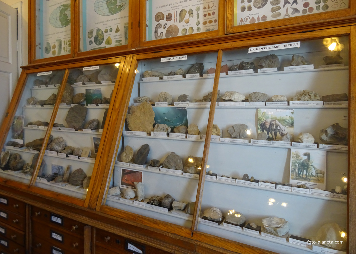 Палеонтолого-стратиграфический музей