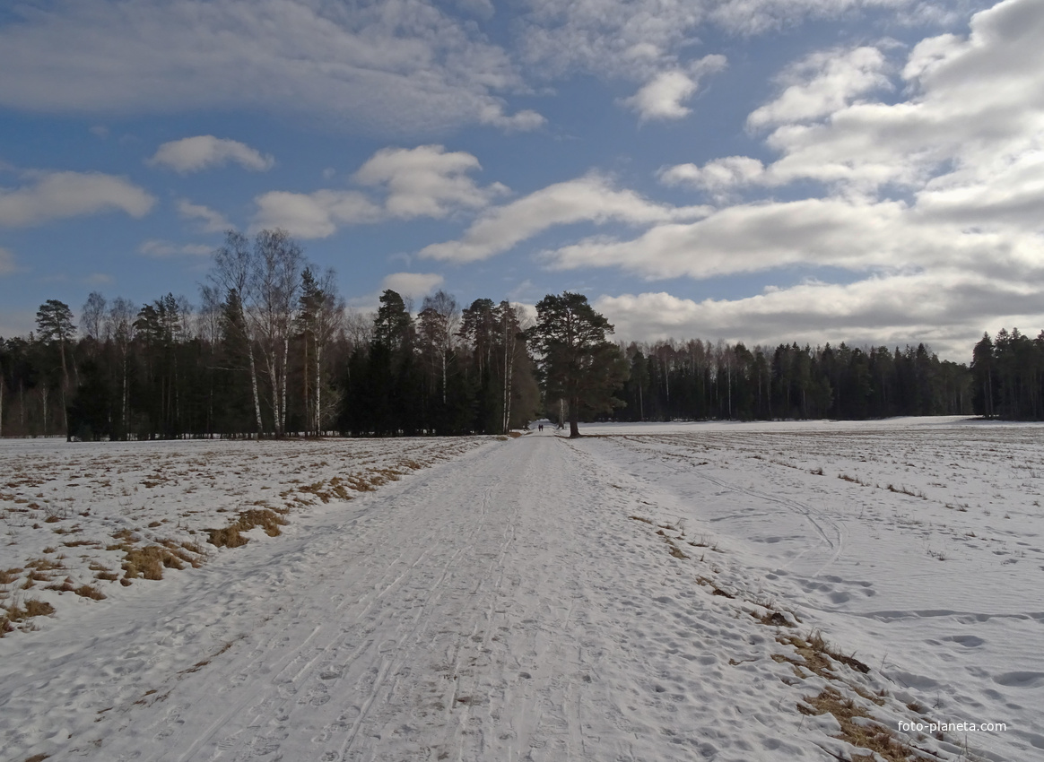 Липецкая аллея