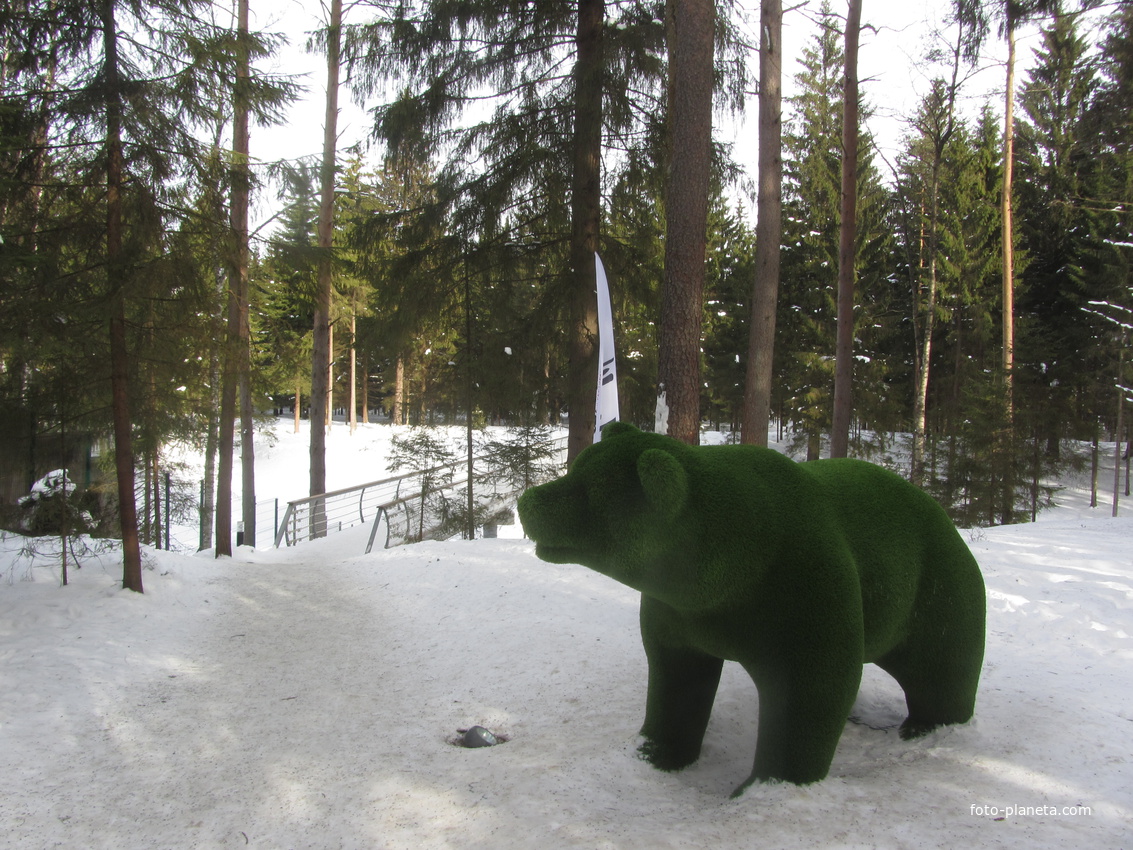 Топиари в Охта-парке