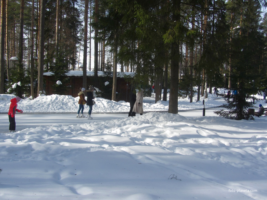 В Охта-парке, лесной-каток