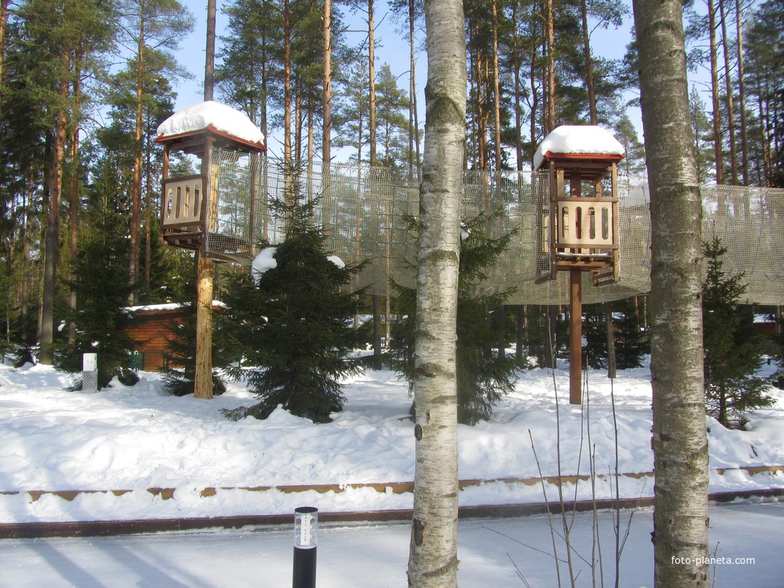 В Охта-парке, лесной-каток