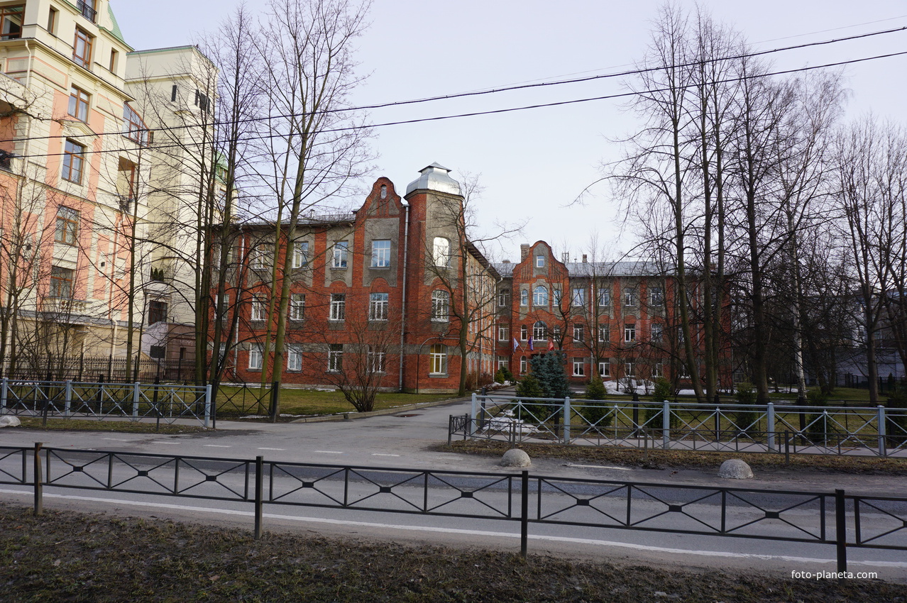 Крестовский остров.