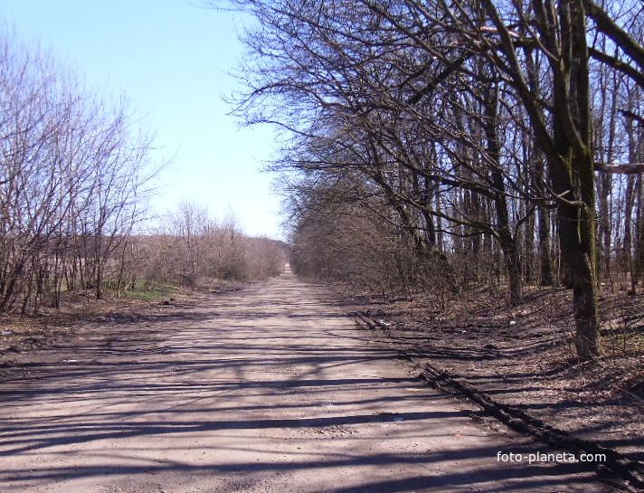 Дорога до Лісового(Петрівське)