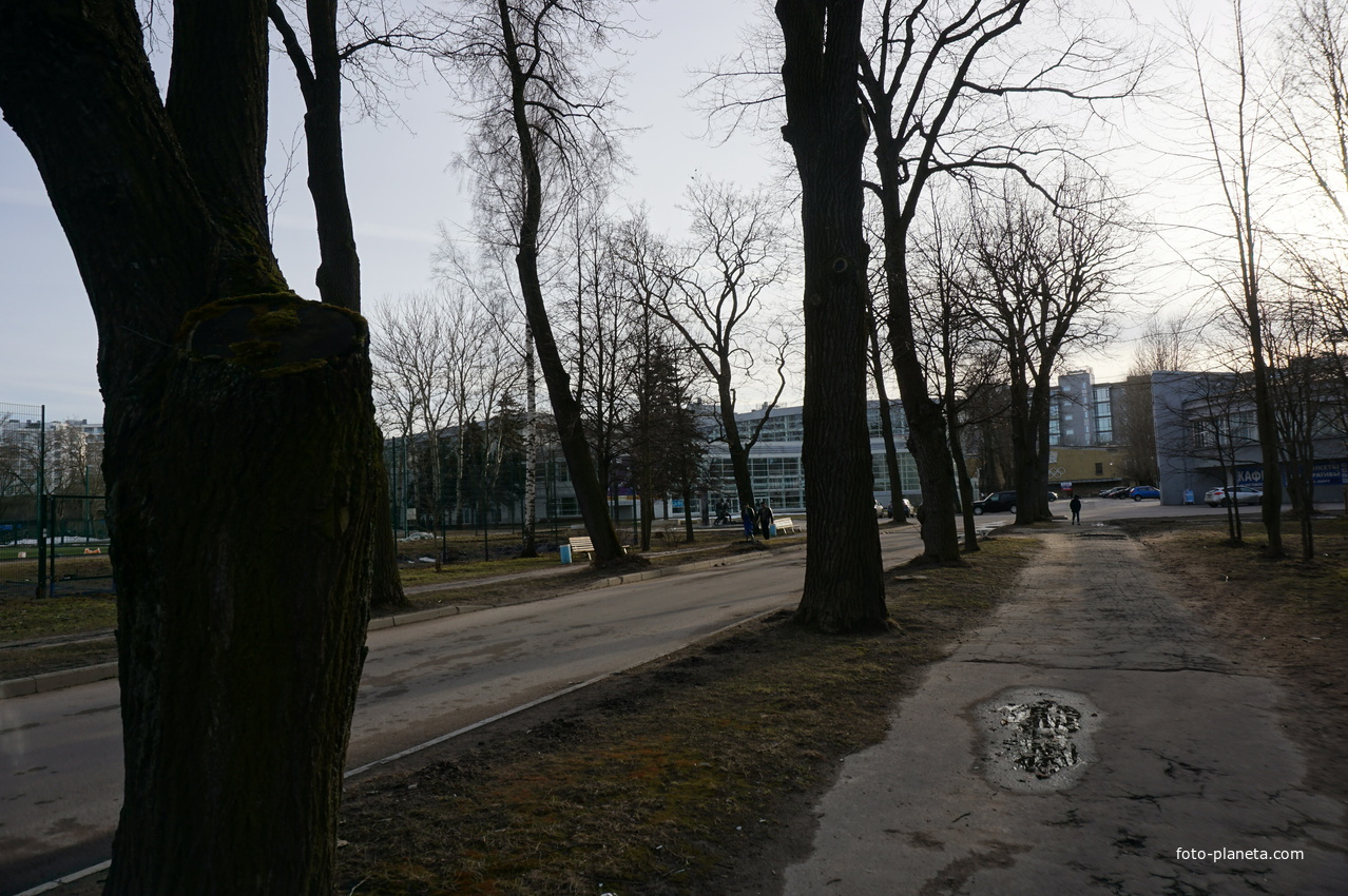 Крестовский остров.