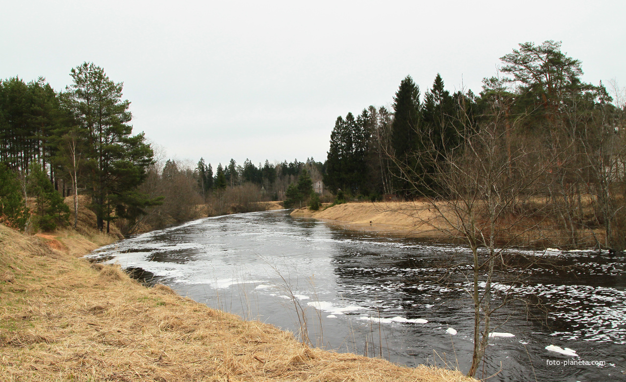 Река Оредеж